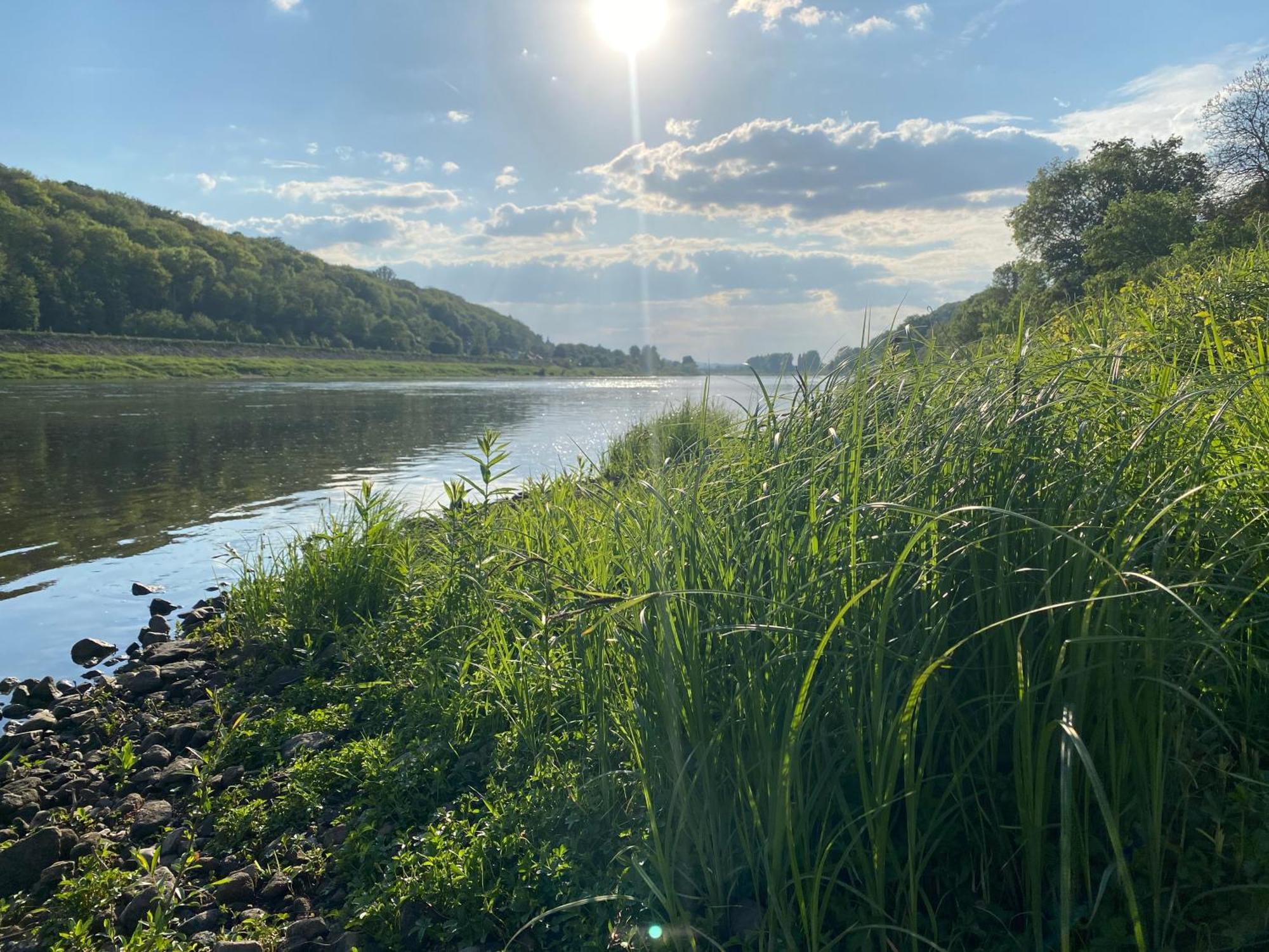 Wanderer Paradies Pirna Buitenkant foto
